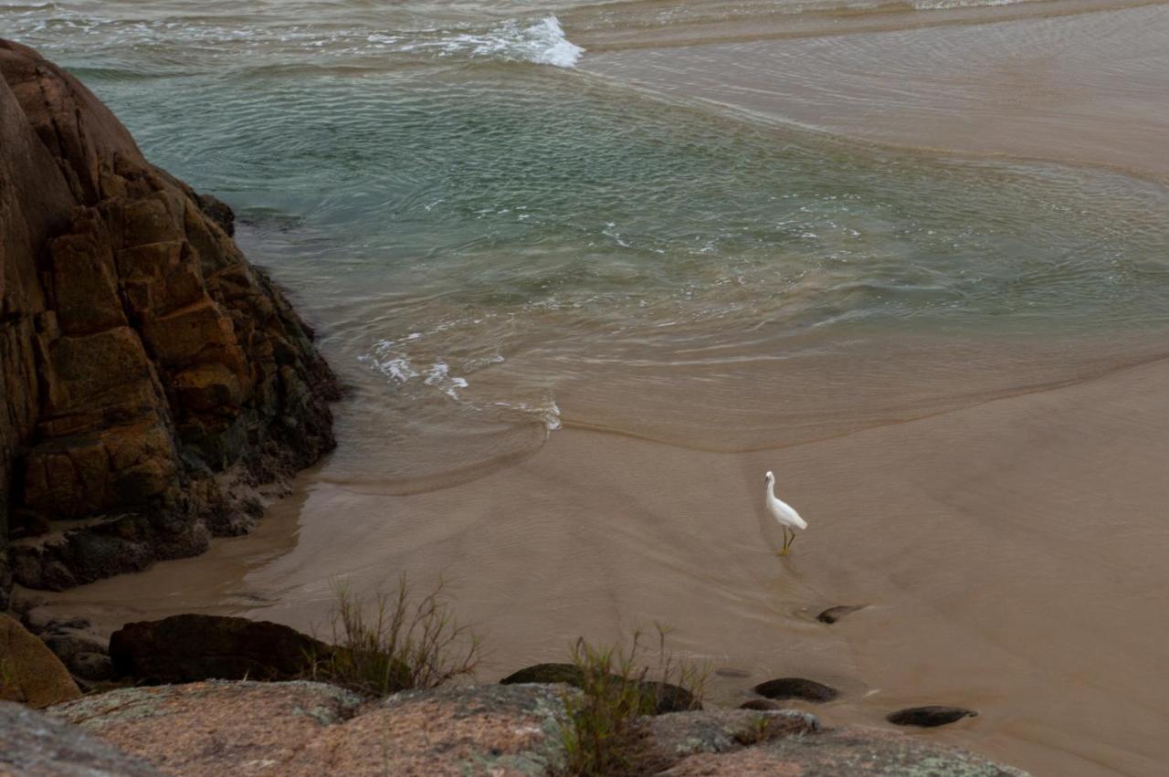 Hostel Dunas Do Santinho - Florianopolis — Photos 3